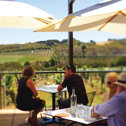 ARTPICwinecountry ARTPIC_winecountry